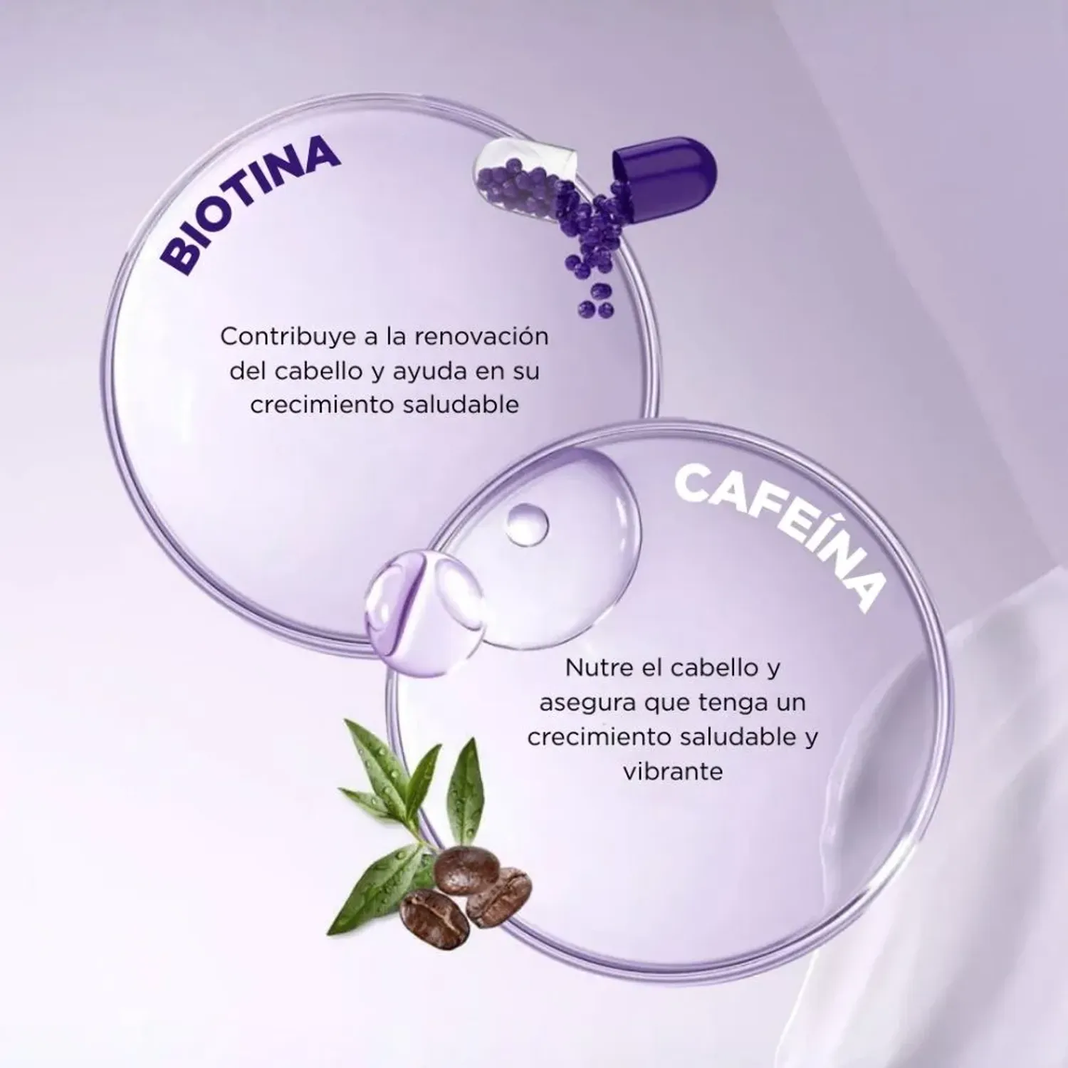 Uc Urban Care Expert Biotin & Caffein Hair+scalp Shampoo 350ml color morado | Platanitos