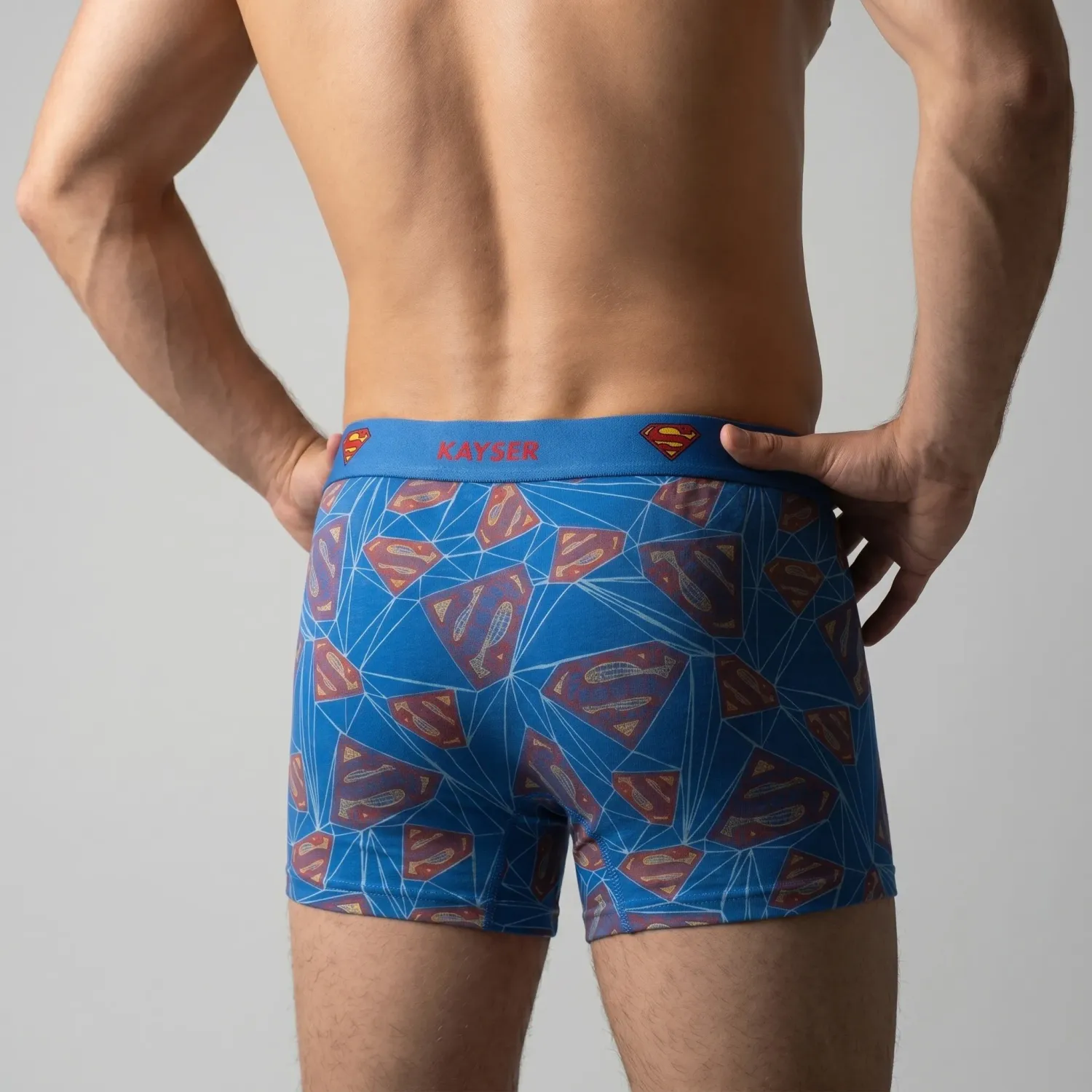 WARNER BROS Tripack Warner Bros Boxer Hombre Largo Algodon color azul | Platanitos