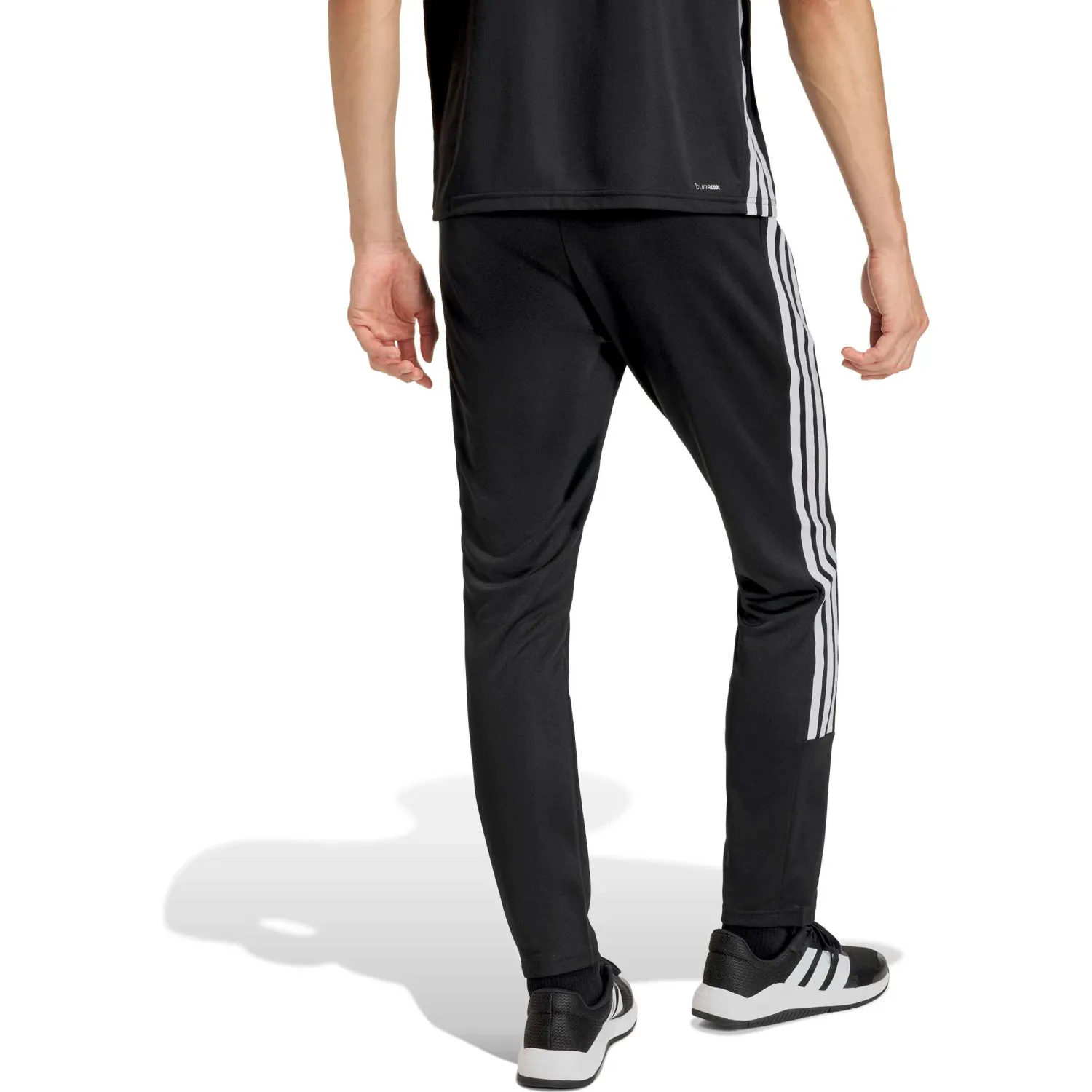 adidas Pantalon Adidas Training Hombre We Allset 3s Pt color negro | Platanitos