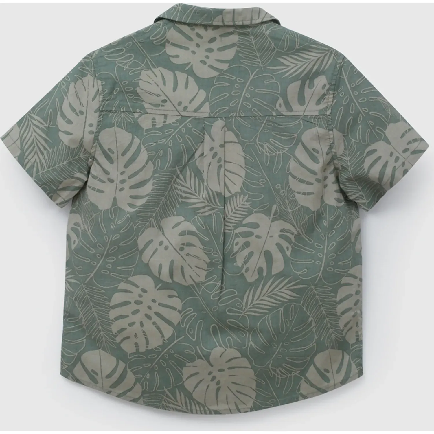 Camisa Colloky Niño Capn0790v26 color verde | Platanitos