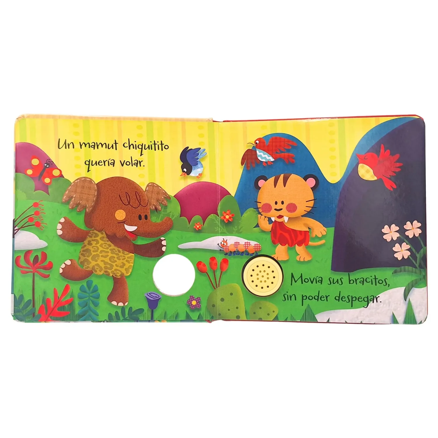 DGNOTTAS Libro Dgnottas Canciones Mamut Chiquitito color varios | Platanitos