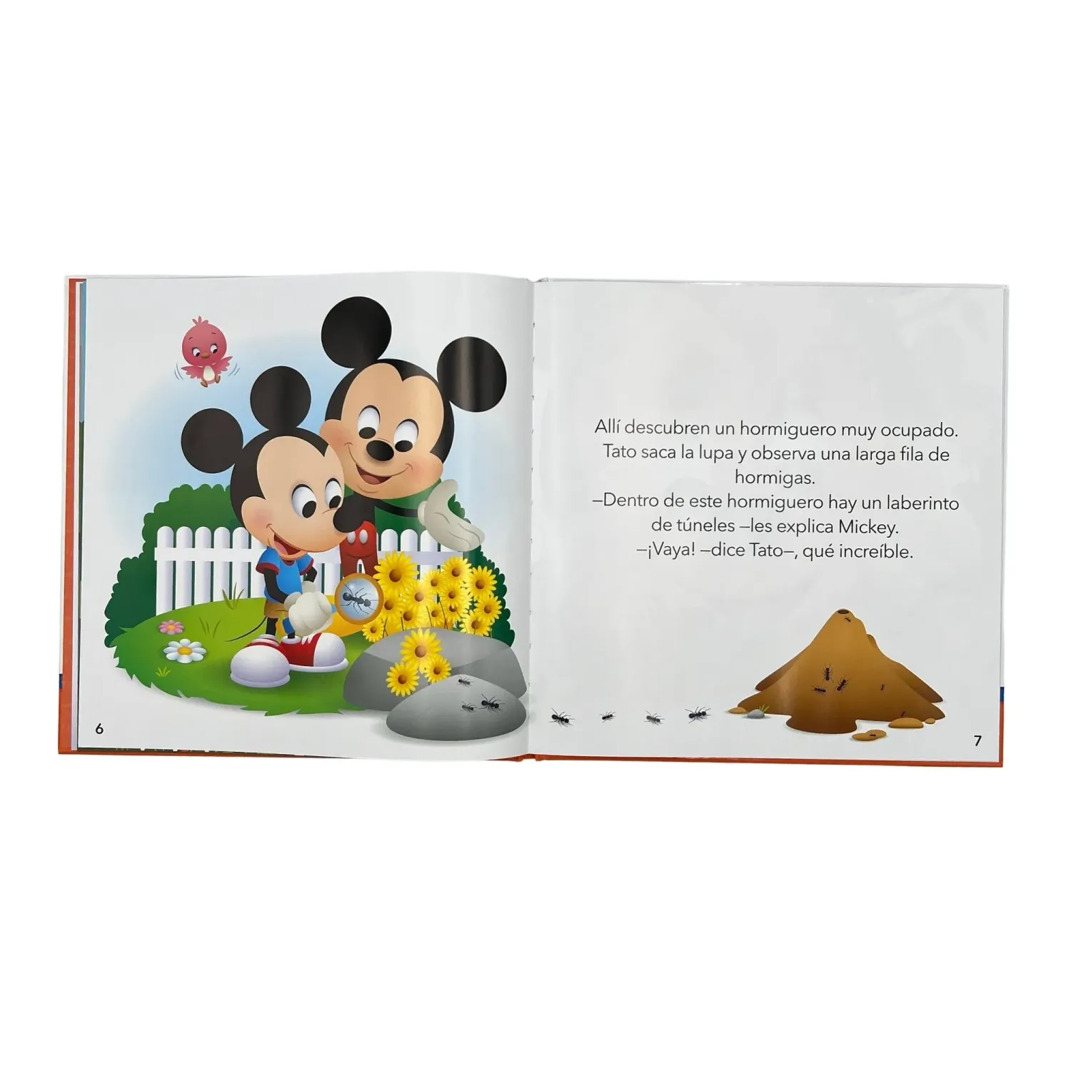 Mis Dgnottas Primeros Cuentos Mickey Descubre Insectos color varios | Platanitos