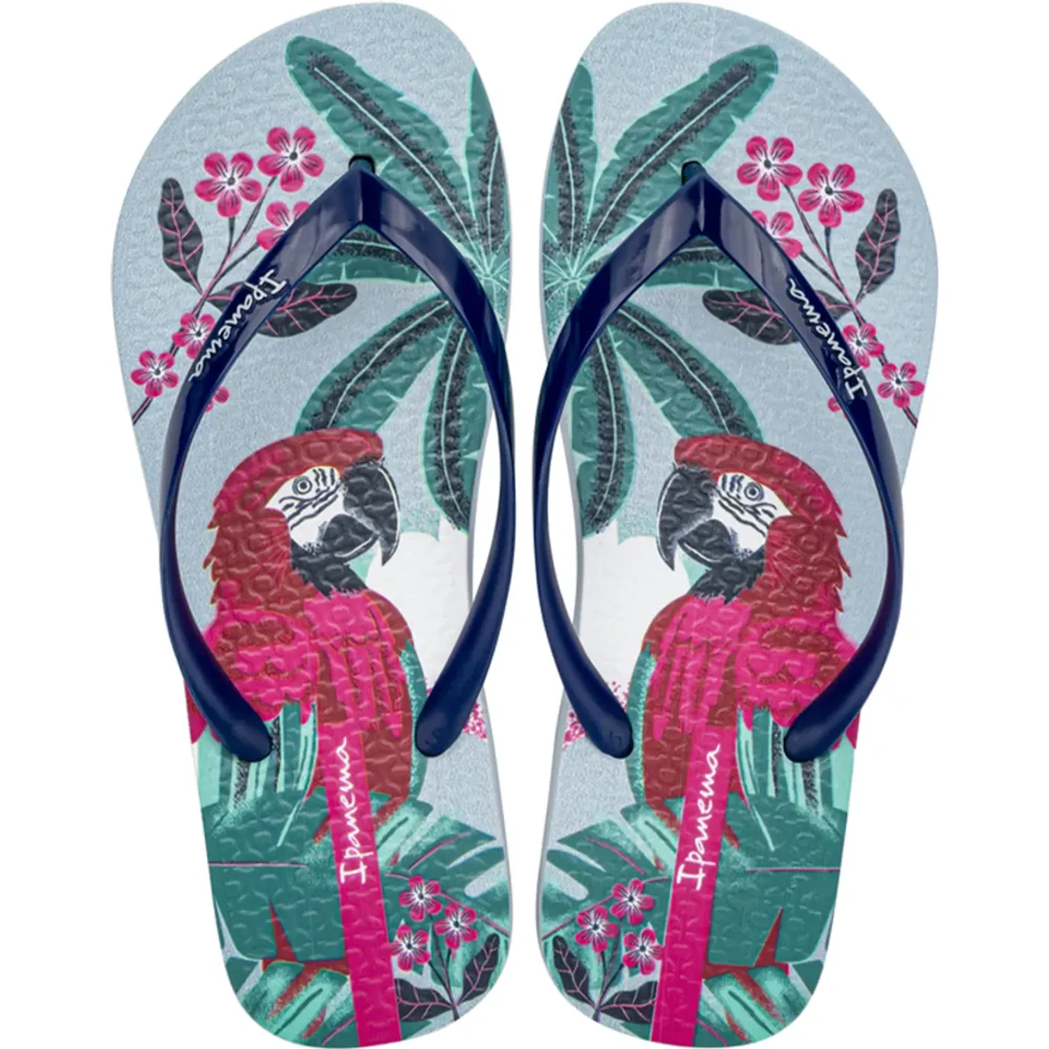 Sandalia Ipanema Tijera Mujer Ipanema 2ipx360 color celeste / azul | Platanitos