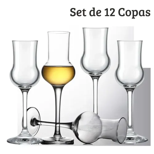 PENTHA Copa Pisco 90ml Set 12 Copas Alambic Nadir