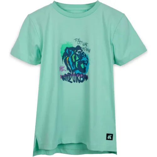 PILLIN Polo Niño Color Verde