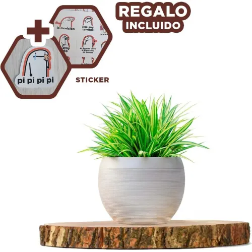 GENERICO Fuente Circular De Madera 33cm Para Decoracion